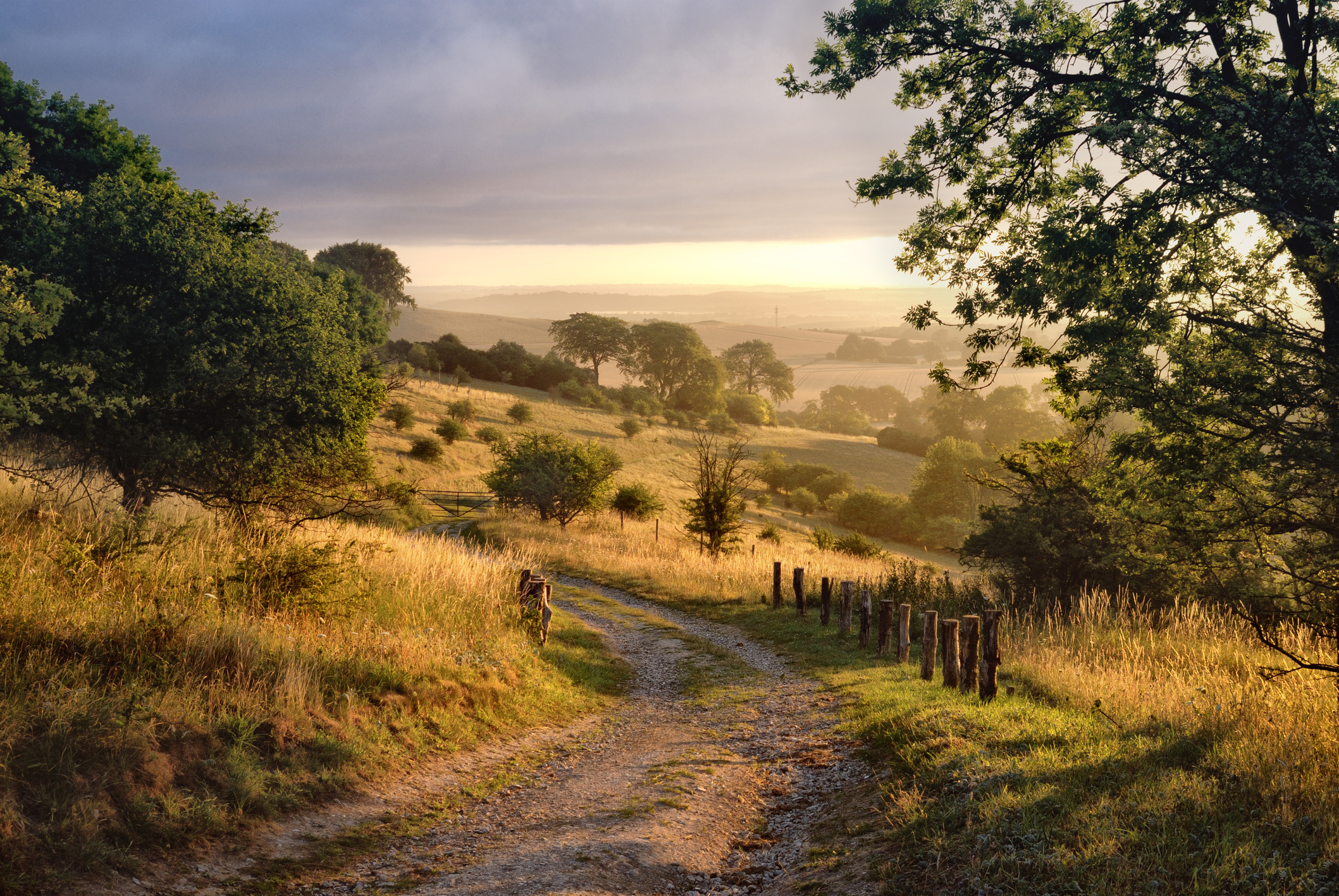 How capitalism can help the countryside