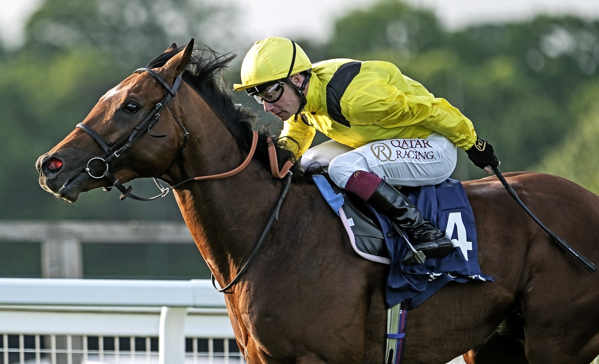 Racing’s omertà