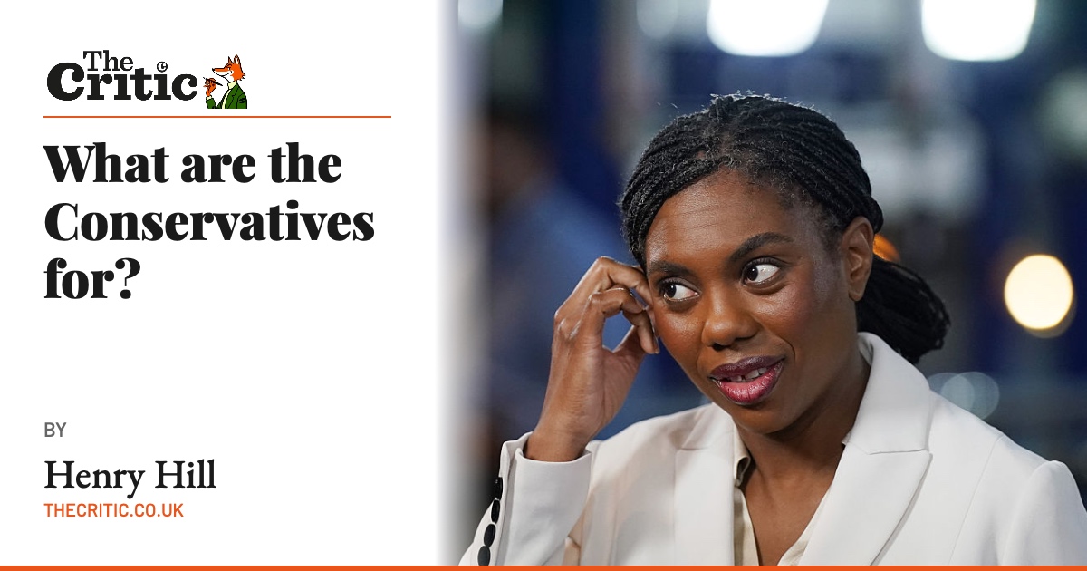 What are the Conservatives for?
